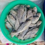 Croaker Dry Fish Seafood