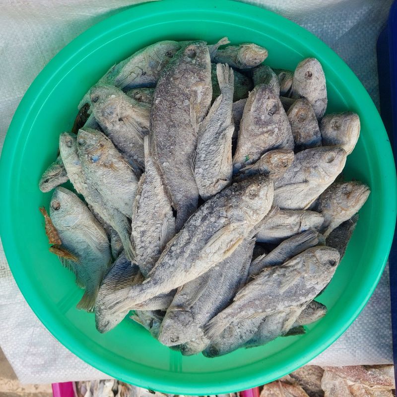Croaker Dry Fish Seafood