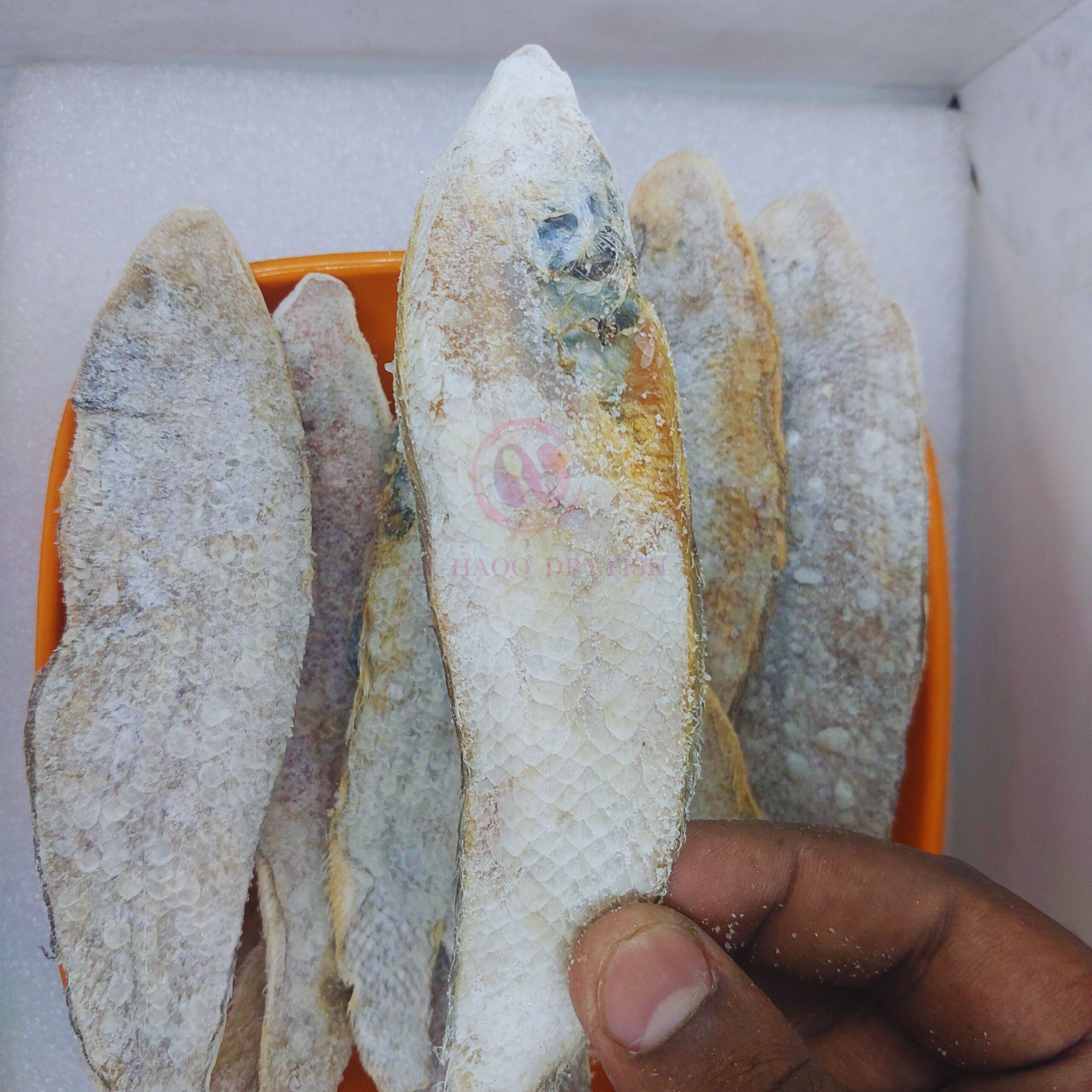 Sole Dry Fish | Nangu Karuvadu நங்கு கருவாடு
