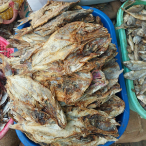 Catfish Dry Fish Seafod