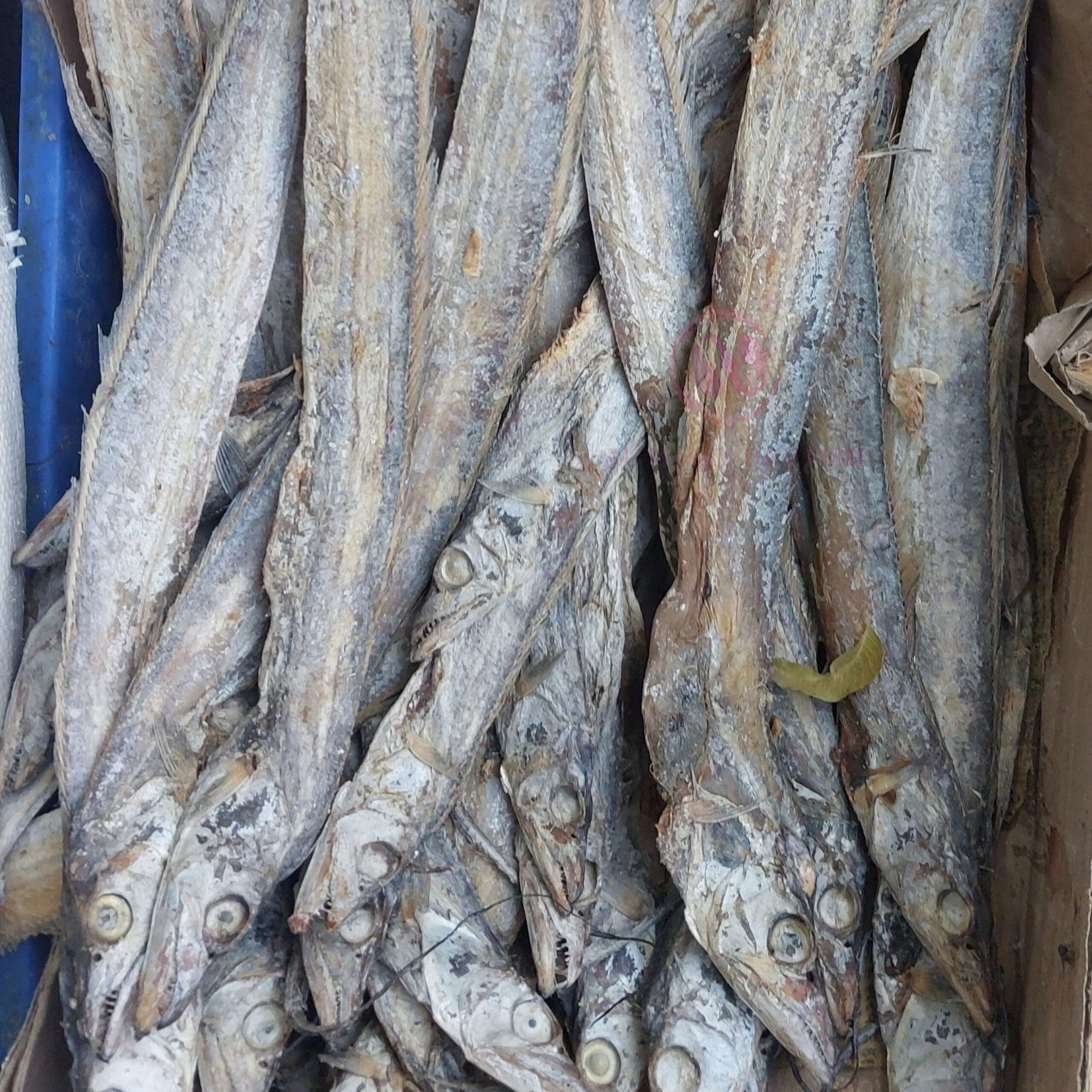 Dry Ribbon Fish Seafood Karuvadu