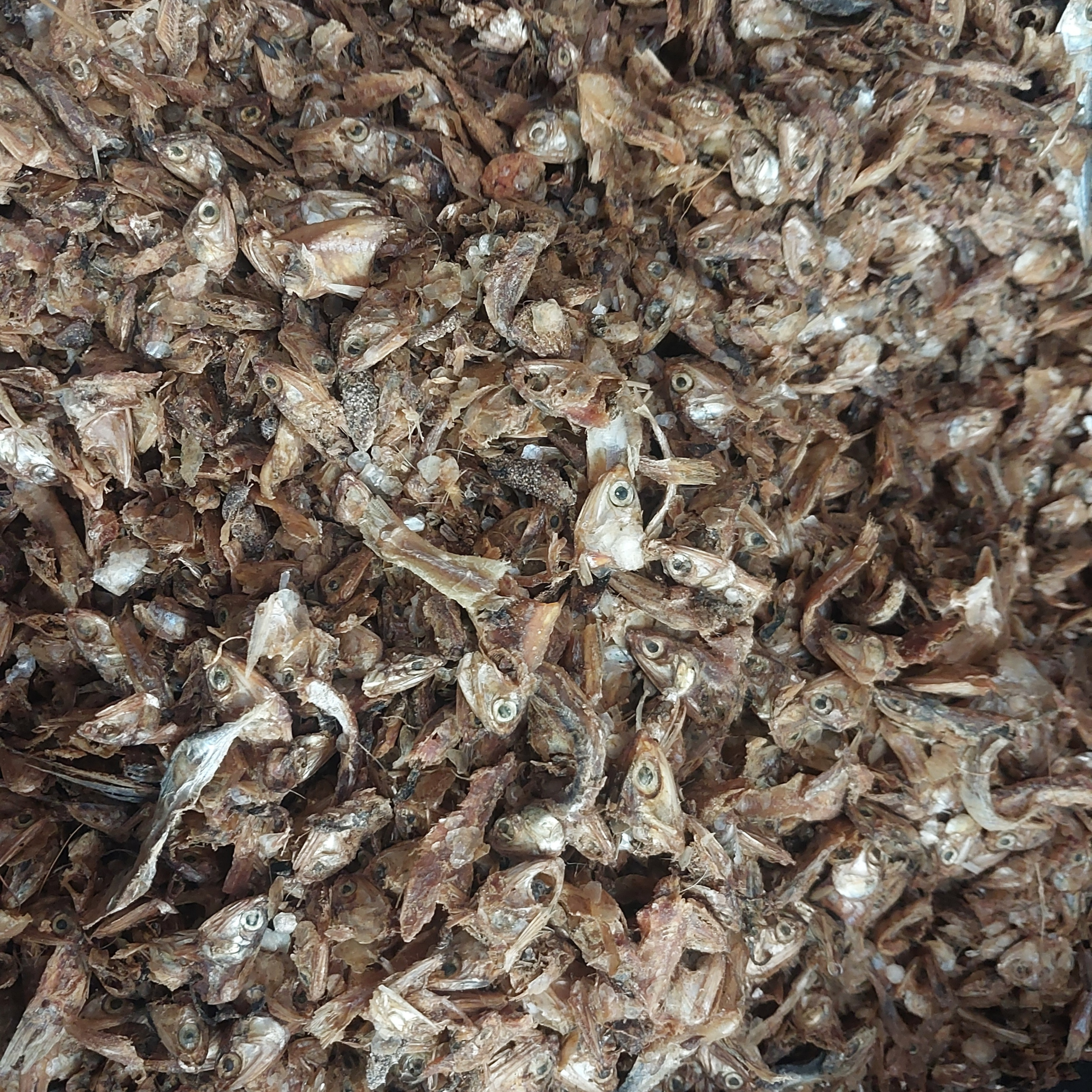 Anchovy Dry Pet Foods