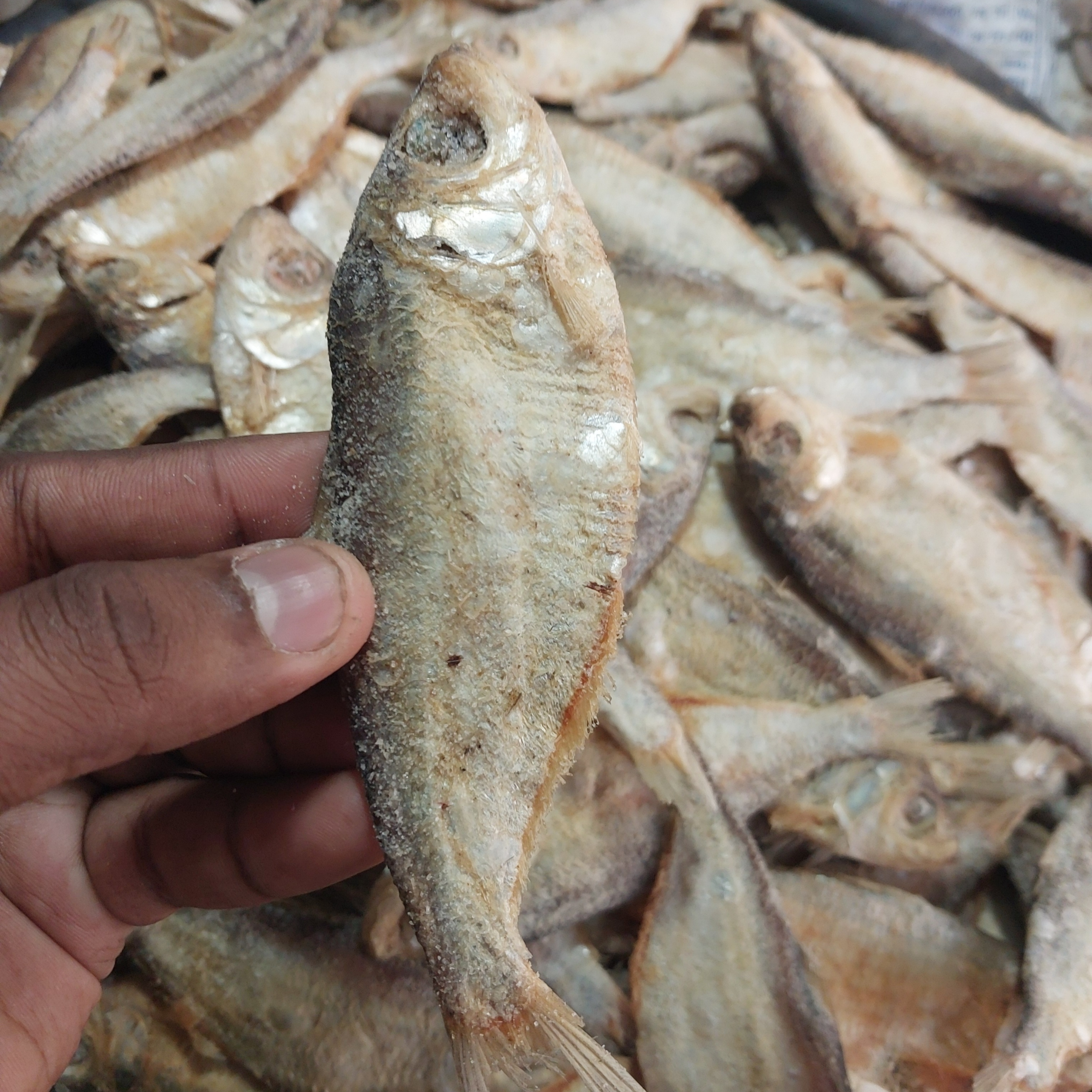 Venganai Dry Fish