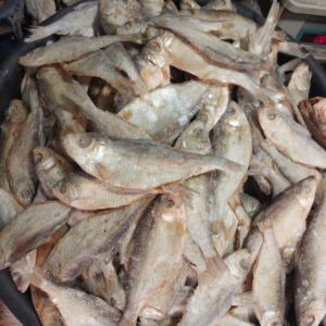 Venganai Dry Fish