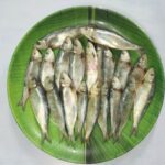 Sardine Dry Fish