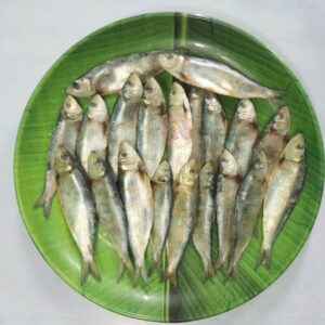 Sardine Dry Fish