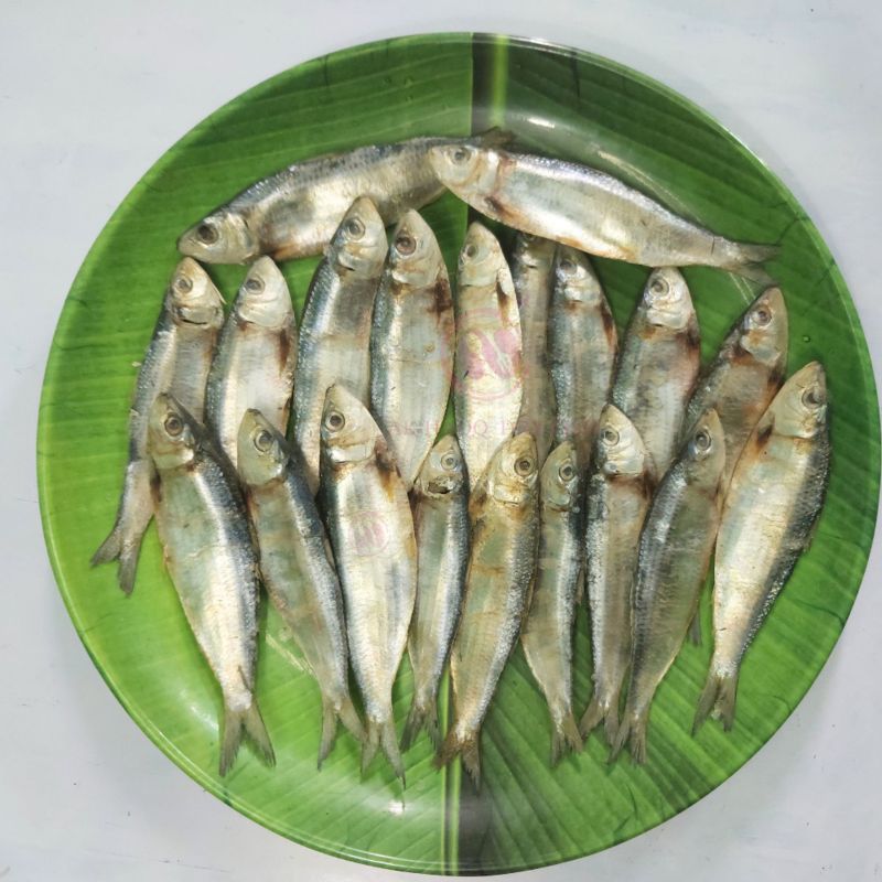 Sardine Dry Fish