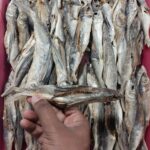 Flying Dry Fish Seafood